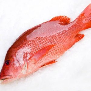 Frozen Red Snapper Fish Cut 1lb